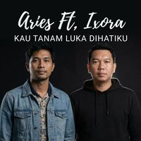 Aries - Kau Tanam Luka Dihatiku