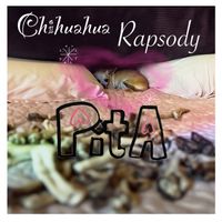 PitA - Chihuahua Rapsody
