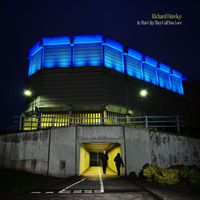 Richard Hawley - In This City They Call You Love