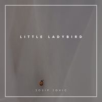 Josip Jovic - Little Ladybird