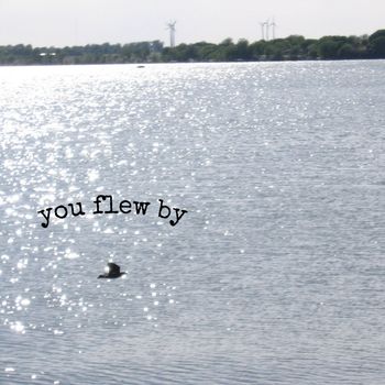 Jone - You Flew By