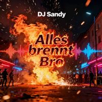 Dj Sandy - Alles Brennt Bro (Explicit)