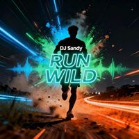 Dj Sandy - Run Wild
