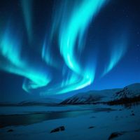 Koda - BLUE AURORA