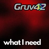 Gruv42 - what I need