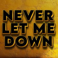 His Name's Sake - Never Let Me Down