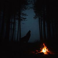 Andrew Lewis - Wolves in the Choir