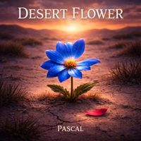 Pascal - Desert Flower