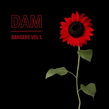 Dam - Bangers Vol. 1 (Explicit)
