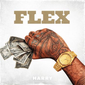 Harry - Flex