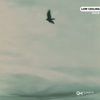 Jacco - Low Ceiling