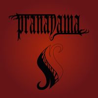 PRANAYAMA - Violín Negro
