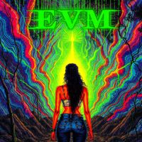 EVM - Silence the Lie