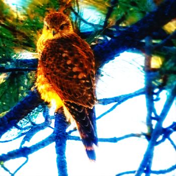 envy - stuck in oblivion