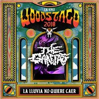 The Ganjas - La Lluvia No Quiere Caer (Vivo en Woodstaco 2018)