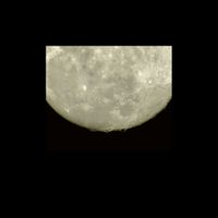 RON - Under the Moon