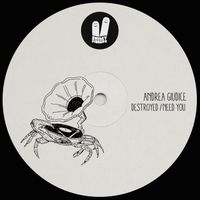 Andrea Giudice - Destroyed / Need You
