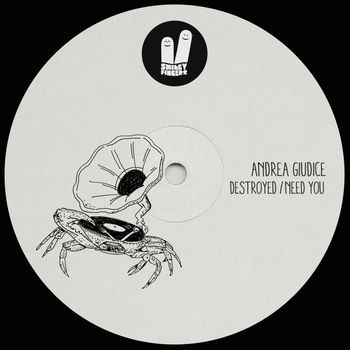 Andrea Giudice - Destroyed / Need You