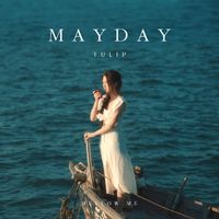 Tulip - MAYDAY