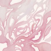 Charles Osborne - Soft Chaos