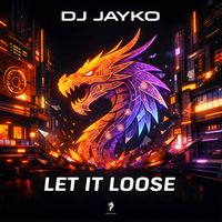 DJ JayKo - Let It Loose