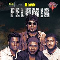 Hawk - Felumir