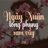 Vân Như - Ngày Xuân Long Phụng Sum Vầy (Vân Như Remix)
