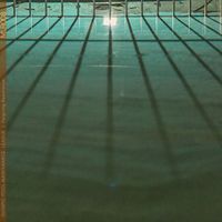 Olympic Pool Maintenance League - Feigning Resistance