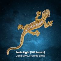 Jake Silva, Frankie Sims - Feels Right (VIP Remix)