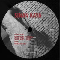 Sinan Kaya - What I Want