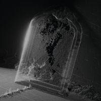 Visible Cloaks - Intarsia