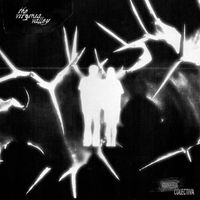 The Virginia Valley - Amnesia Colectiva