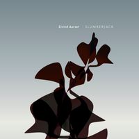 Eivind Aarset - Slumberjack