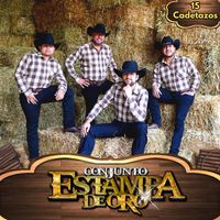 Conjunto Estampa de Oro - 15 Cadetazos
