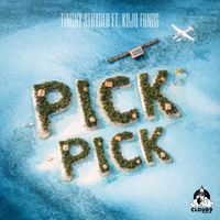 Tinchy Stryder - Pick Pick