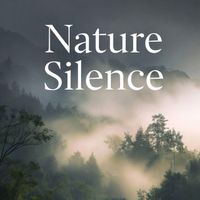 Mrbroken - Nature Silence