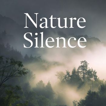 Mrbroken - Nature Silence