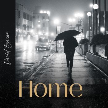 David Bauer - Home