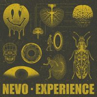 Nevo - Experience