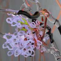 Aloka - Strange Forms