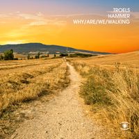 Troels Hammer - Why Are We Walking
