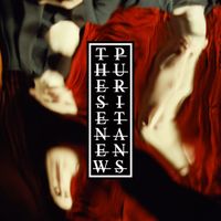 These New Puritans - Anti-Gravity