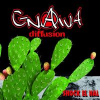 Gnawa Diffusion - Shock el hal