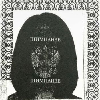 ORR - chimpanzee.exe (Explicit)