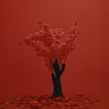 Ross - Profesora del Amor