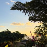 Technicolour - New Start