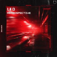 Lil D - Retrospective