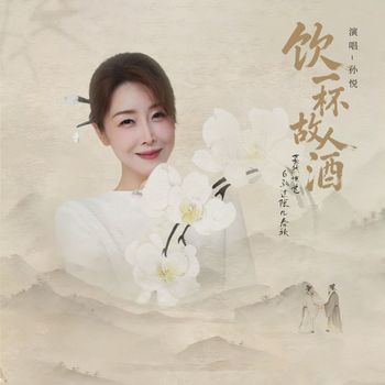 孙悦 - 饮一杯故人酒