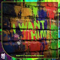 Flava Unit - I Want Him (Matty Hamilton Remix)