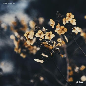 Plutian - Evanescent